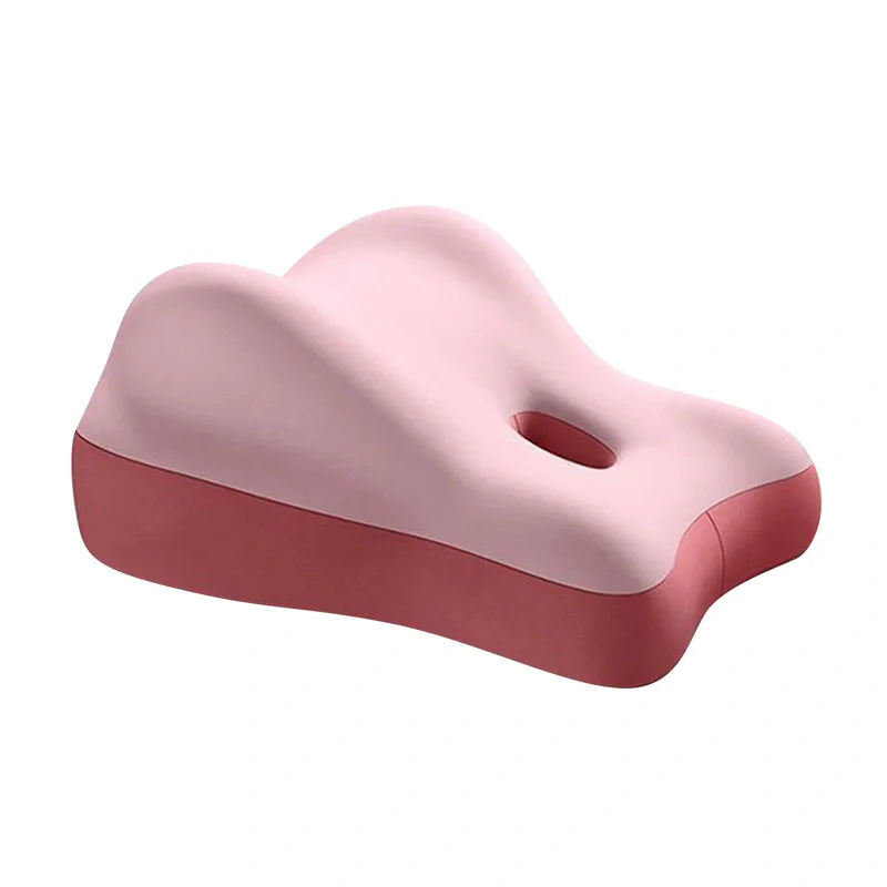 The Sylora Couples Pillow Aid + Free Gift